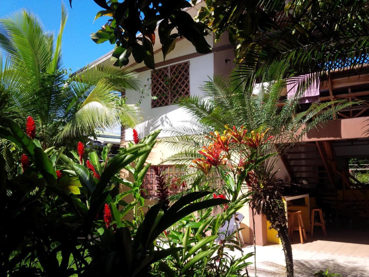 Pagalu Hostel Puerto Viejo de Talamanca Exterior foto